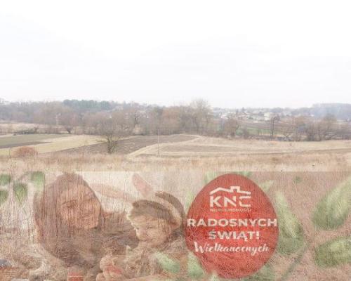 Działka Pliszczyn,media, działka budowl usług 65ar