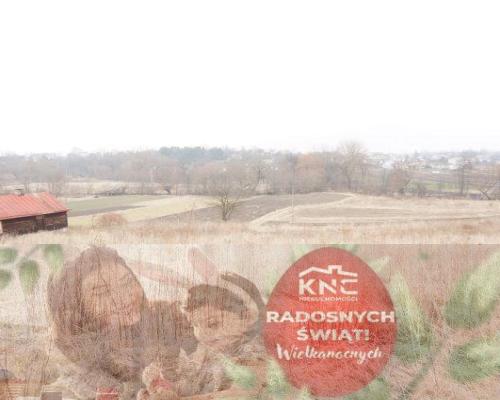 Działka Pliszczyn,media, działka budowl usług 65ar