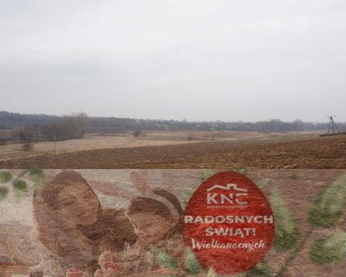 Działka Pliszczyn,media, działka budowl usług 65ar