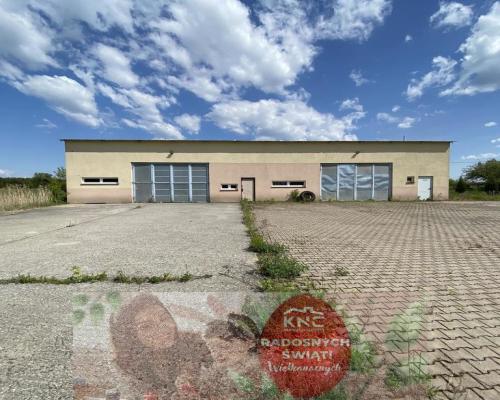 Hala produkcyjno-warsztatowa 209 m kw. gm. Przyłęk