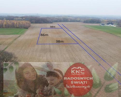 Smugi, 32 ar, blisko Lublina