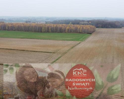 Smugi, 32 ar, blisko Lublina