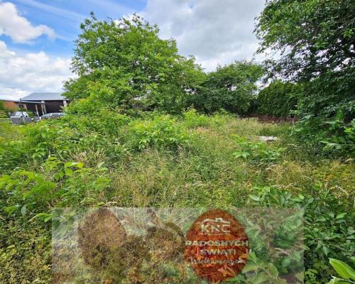 Atrakcyjna działka z domem - Zalesie gm. Niemce