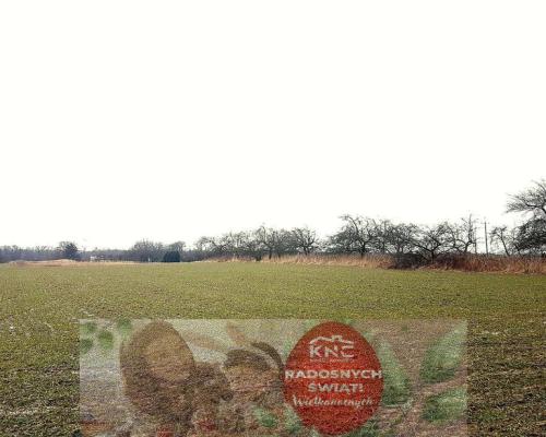 Uniszowice gm. Konopnica, 7800 m2