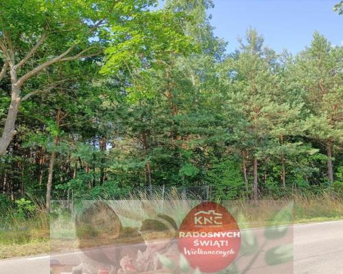 Działki budowlane w malowniczej części Przyłęka.