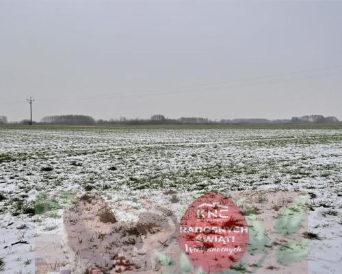 Ludwin - duża działka usługowa 75a