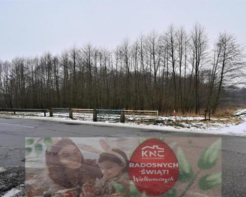 Ludwin - duża działka usługowa 75a