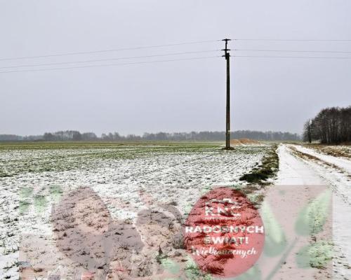 Ludwin - duża działka usługowa 75a