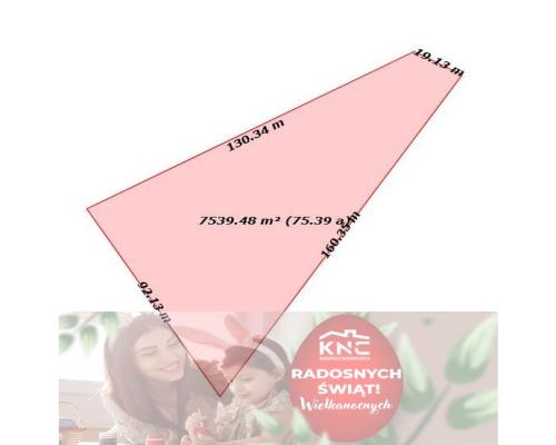 Ludwin - duża działka usługowa 75a