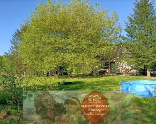 Dwa domy na dużej działce 100 km. od Warszawy.