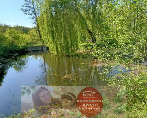 Dwa domy na dużej działce 100 km. od Warszawy.