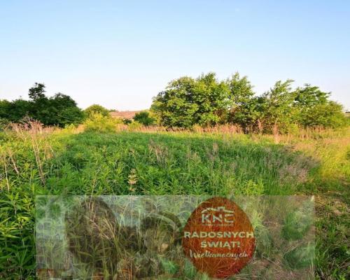 54a dz. budowlanej pod samym Lublinem.