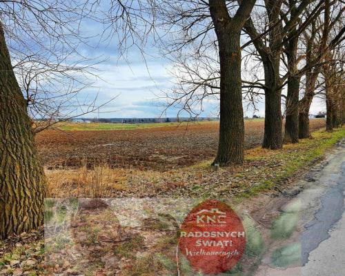 Działka inwestycyjna w Zemborzycach Kościelnych