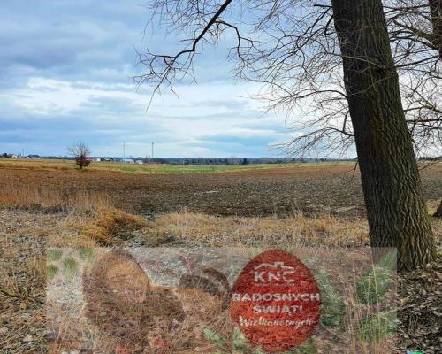 Działka inwestycyjna w Zemborzycach Kościelnych