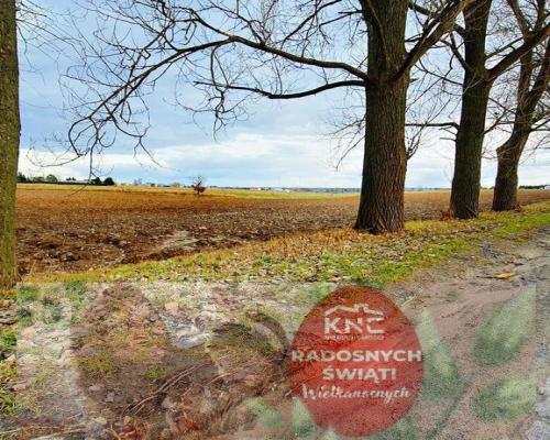 Działka inwestycyjna w Zemborzycach Kościelnych