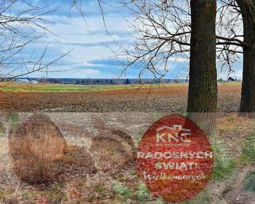 Działka inwestycyjna w Zemborzycach Kościelnych