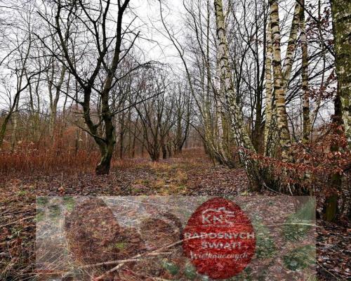 Piękna działka 65a pod Kazimierzem Dolnym