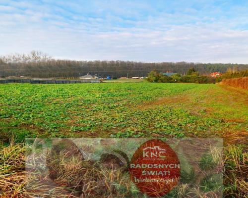 18ar działki III linia zabudowy - Lublin Wrotków