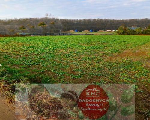 18ar działki III linia zabudowy - Lublin Wrotków