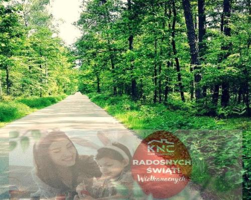 Działka z widokiem na Park Krajobrazowy- wszystkie media!