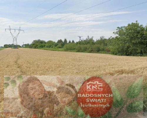 Grunt rolny w Lublinie o powierzchni 54 ar