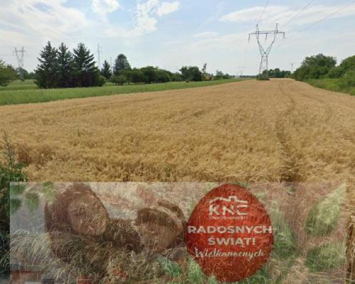 Grunt rolny w Lublinie o powierzchni 54 ar