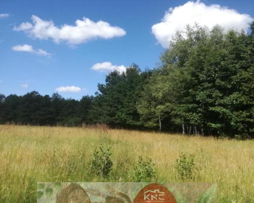 Kolonia Garbatówka, działka rolna, 3,18 ha!!