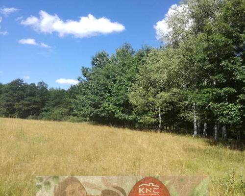 Kolonia Garbatówka, działka rolna, 3,18 ha!!