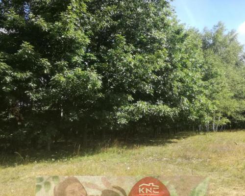 Kolonia Garbatówka, działka rolna, 3,18 ha!!