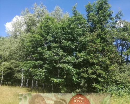 Kolonia Garbatówka, działka rolna, 3,18 ha!!