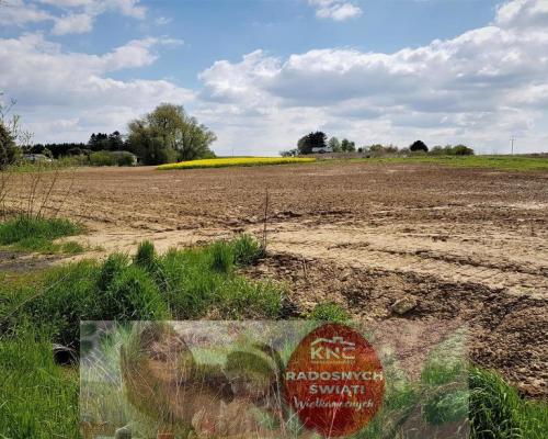 64 ar - Tomaszowice pod budownictwo jednorodzinne