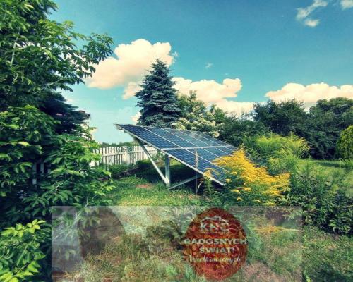 Dom na dużej działce graniczący z rz. Ciemięgą.