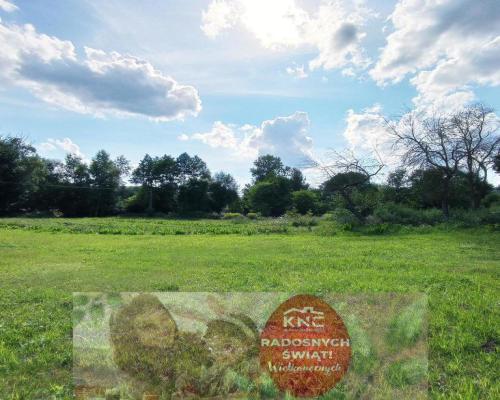 Dom na dużej działce graniczący z rz. Ciemięgą.