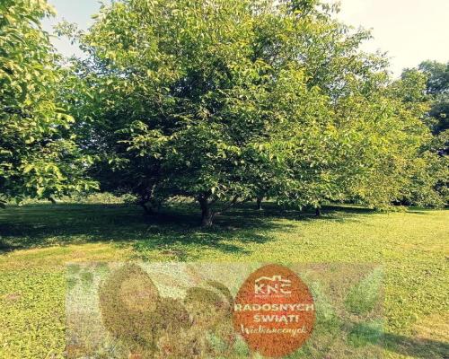 Dom na dużej działce graniczący z rz. Ciemięgą.