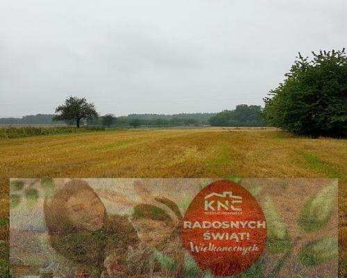 Blisko Centrum Handlowego IKEA