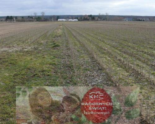 Działka w doskonałej lokalizacji-5 min. od Zalewu