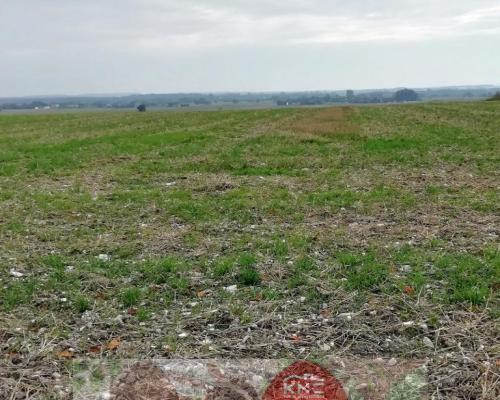 Działka inwestycyjna 4,5 ha bezpośrednio przy S12