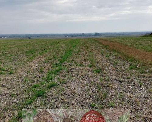 Działka inwestycyjna 4,5 ha bezpośrednio przy S12