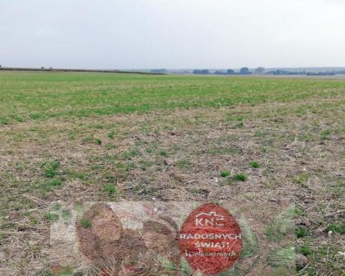 Działka inwestycyjna 4,5 ha bezpośrednio przy S12