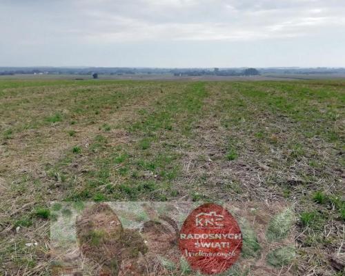 Działka inwestycyjna 4,5 ha bezpośrednio przy S12