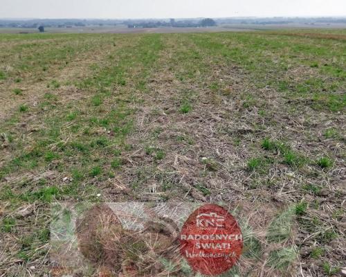 Działka inwestycyjna 4,5 ha bezpośrednio przy S12