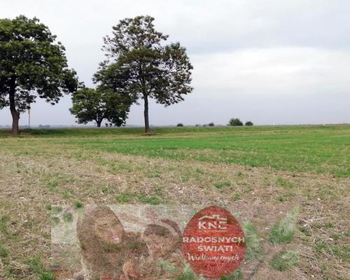 Działka inwestycyjna 4,5 ha bezpośrednio przy S12