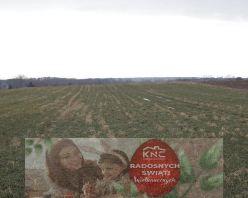 Cicha działka Tomaszowice