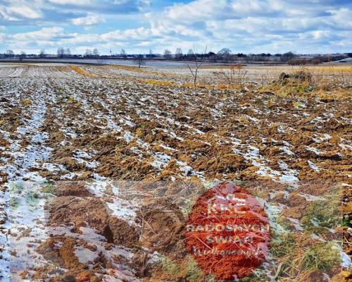 Działka budowlana Płouszowice Kolonia - 35ar