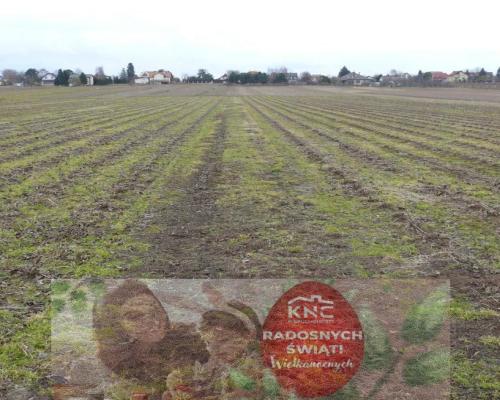 5 minut spacerkiem do Zalewu Zemborzyckiego