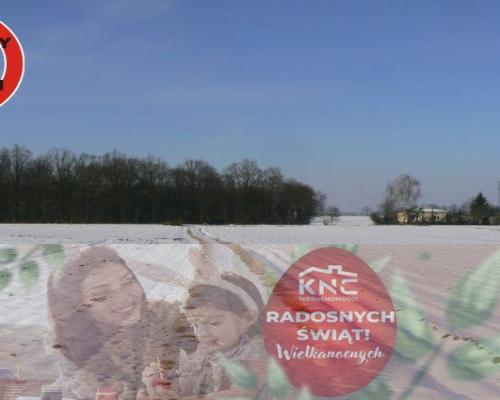 Krężnica Jara 8km od Lublina. 8000m2