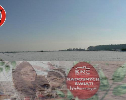 Krężnica Jara 8km od Lublina. 8000m2