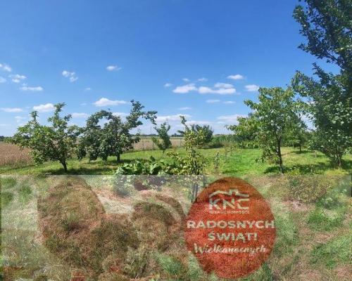 Piękna działka siedliskowa (MR) Gutanów