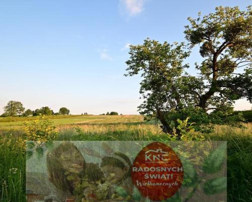 Działka doskonała pod inwestycję - Nałęczów - 14ar