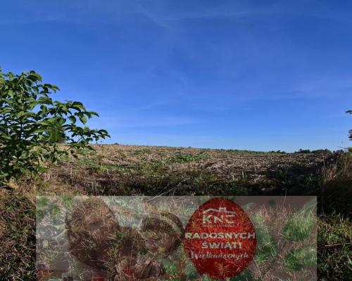 Działka doskonała pod inwestycję - Nałęczów - 14ar